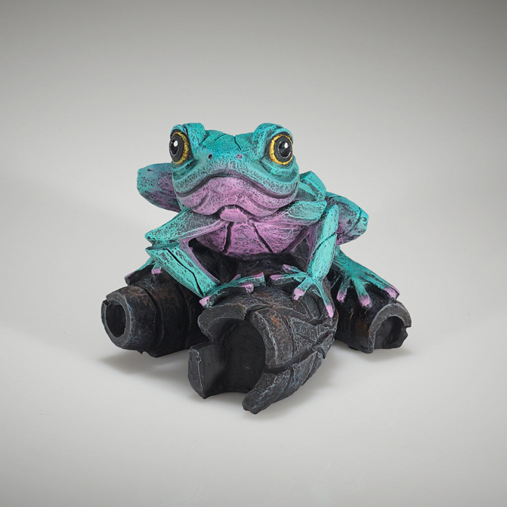 Edge Sculpture Aqua Pink Frog by Matt Buckley