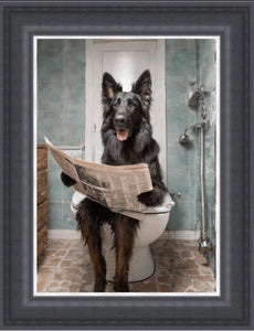 Alsatian on the Toilet