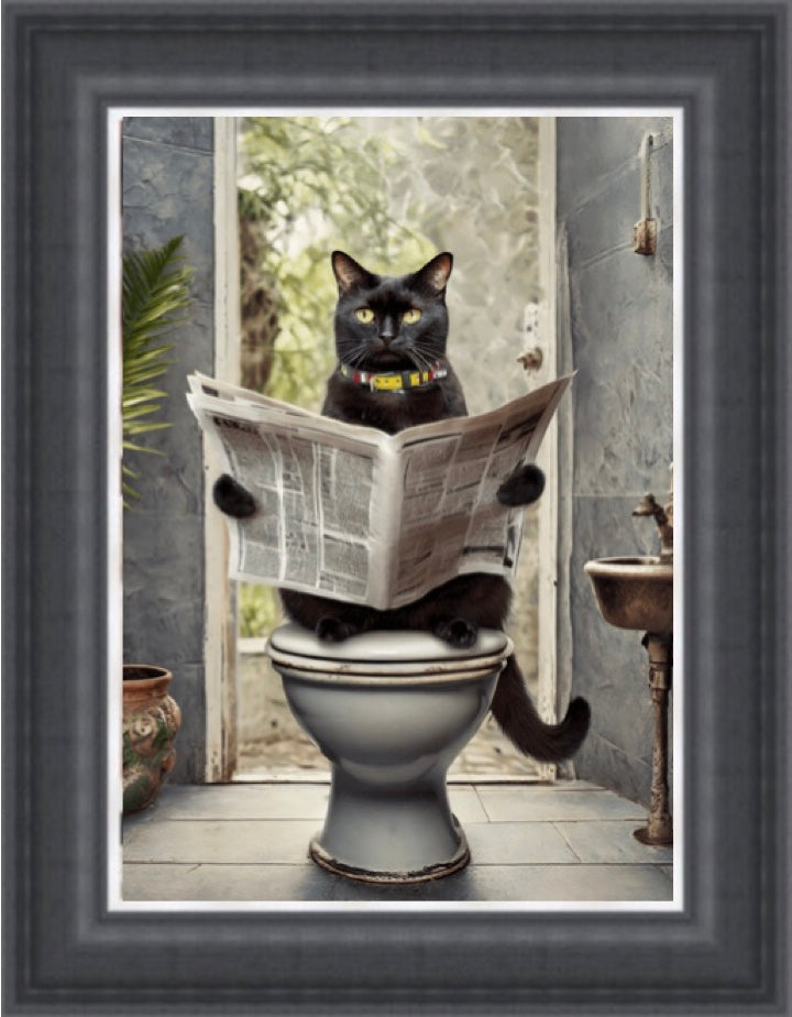 Black Cat on the Toilet