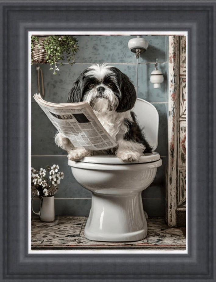 Black and White Shih Tzu on the Toilet