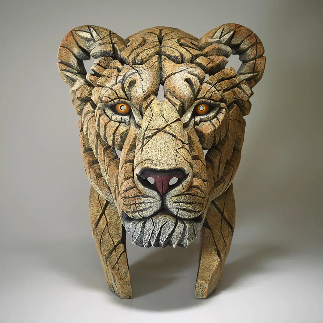 *PRE ORDER* Edge Sculpture Lioness Bust by Matt Buckley