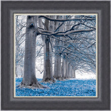Load image into Gallery viewer, Blue Oak Arch LHF
