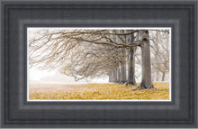 Load image into Gallery viewer, Landscape Yellow Oak Arch
