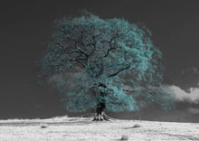 Load image into Gallery viewer, Green Winter Tree
