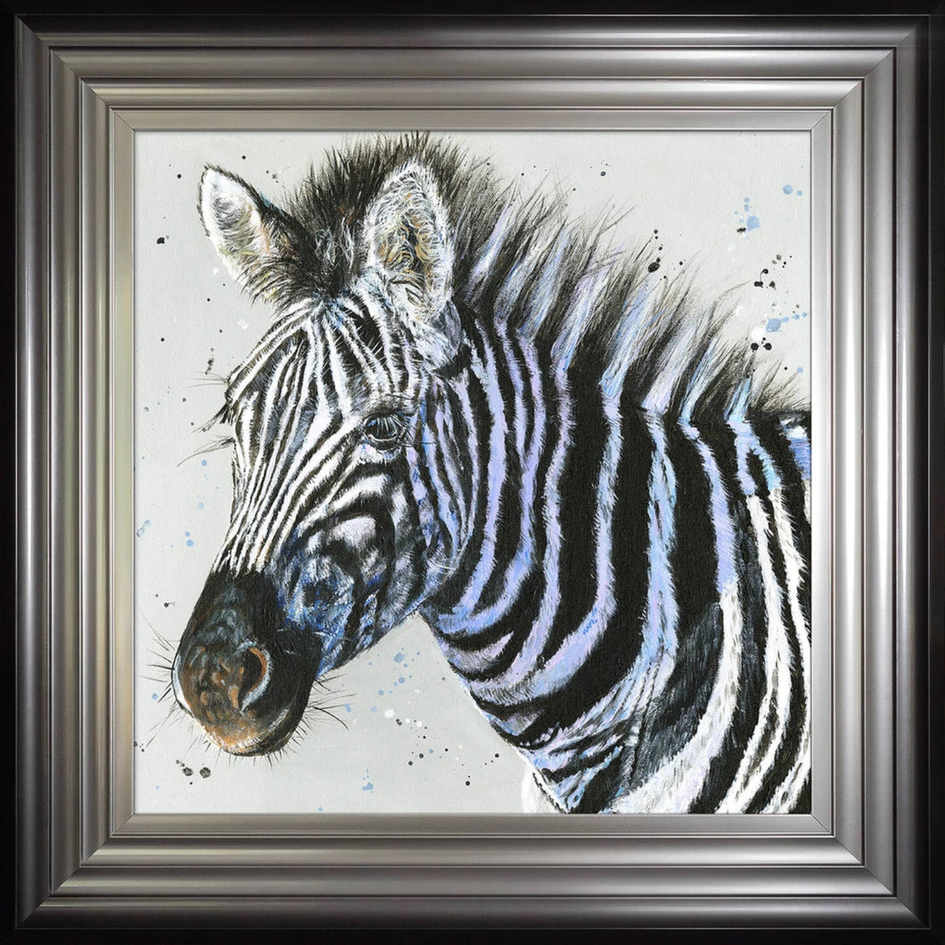 Zandra Zebra Framed Print