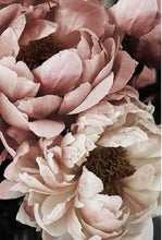 Load image into Gallery viewer, Floral Fancy l
