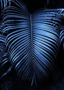 Blue Palm Leaf l