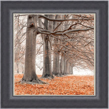 Load image into Gallery viewer, Orange Oak Arch LHF
