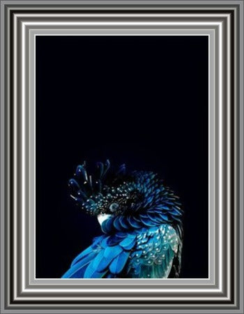 Blue Tropical Bird