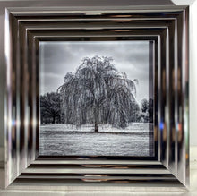 Load image into Gallery viewer, Weeping Willow Tree
