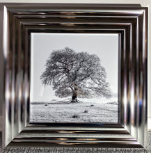 Load image into Gallery viewer, Silver Tree

