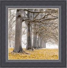 Load image into Gallery viewer, Mustard Oak Arch LHF
