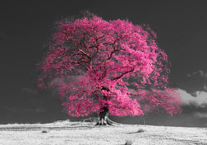 Blush Pink Winter Tree