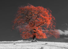 Load image into Gallery viewer, Burnt Orange Winter Tree
