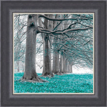 Load image into Gallery viewer, Teal Oak Arch LHF
