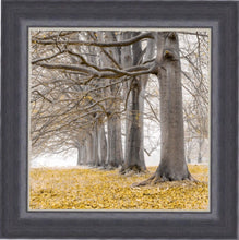 Load image into Gallery viewer, Mustard Oak Arch RHF
