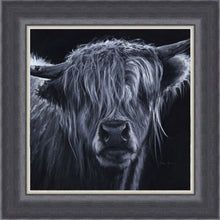 Load image into Gallery viewer, Hugo Highland Cow Framed Print
