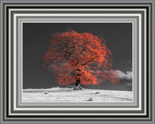 Load image into Gallery viewer, Burnt Orange Winter Tree
