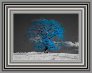 Navy Blue Winter Tree