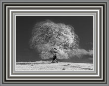 Load image into Gallery viewer, White Winter Tree

