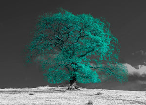 Teal Winter Tree