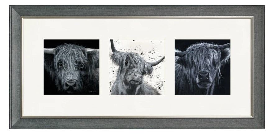 Tryptic Highland Cows